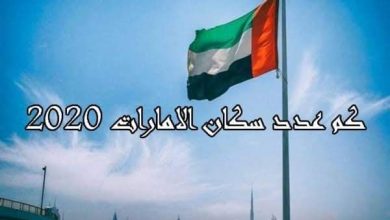 عدد سكان الامارات المواطنين
