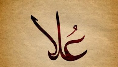 معنى اسم علا في اللغة العربية