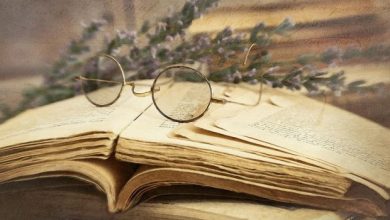 أشهر كتاب الروايات في مصر